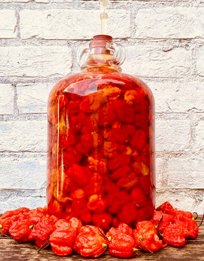 Smoked Carolina 70 Super Hot Chilli Sauce - Weymouth 51