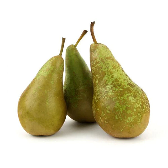 Pears Loc Conference Pear - Each – SW Coast Refills