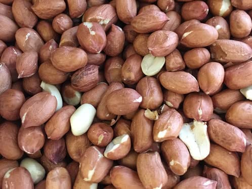 Paleskin Peanuts - 100g