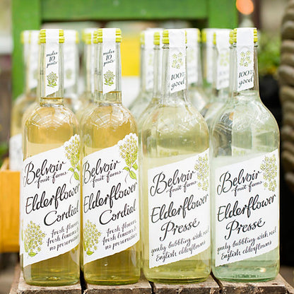 Belvoir Elderflower Cordial - 500ml