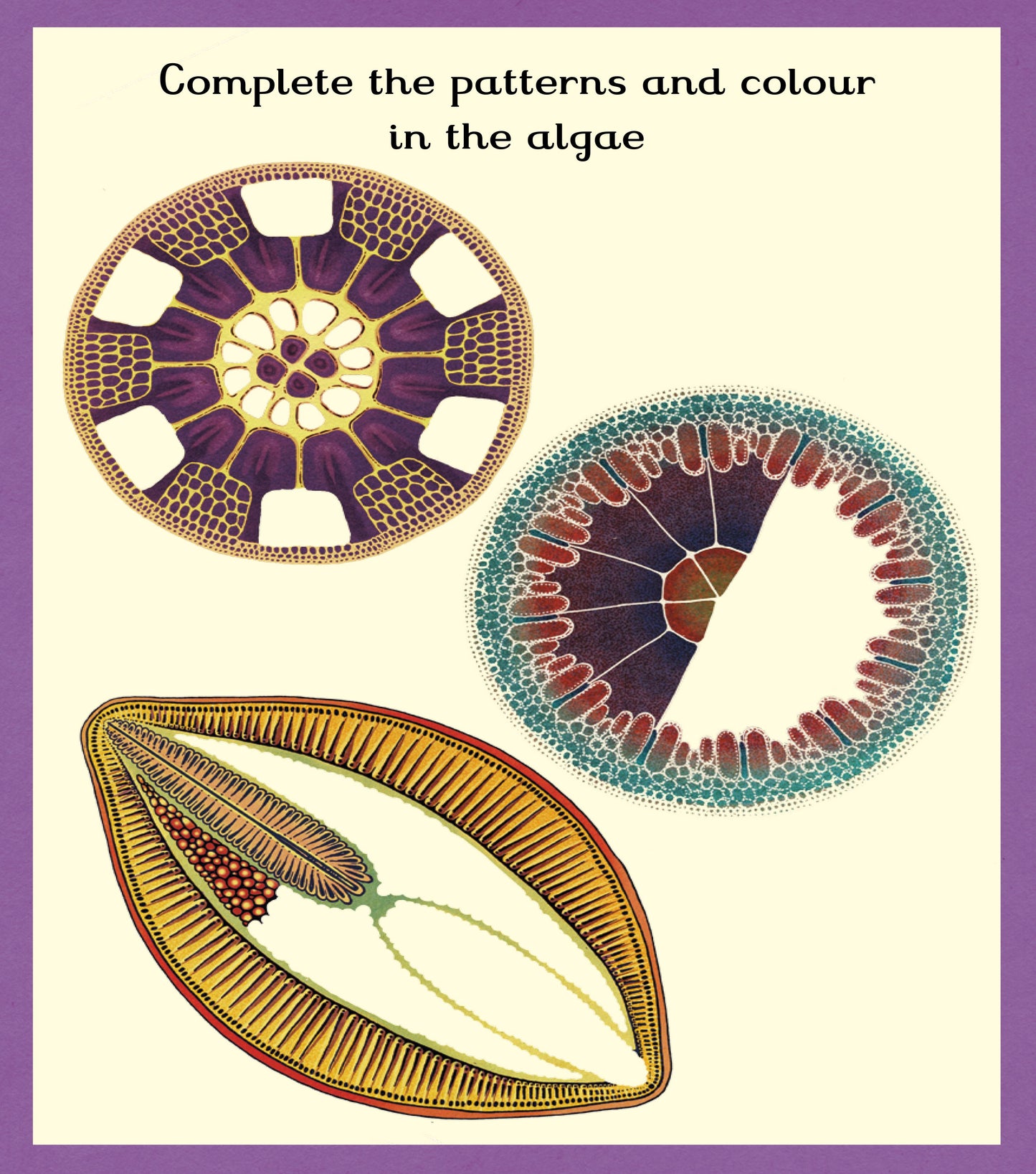 Botanicum Activity Book