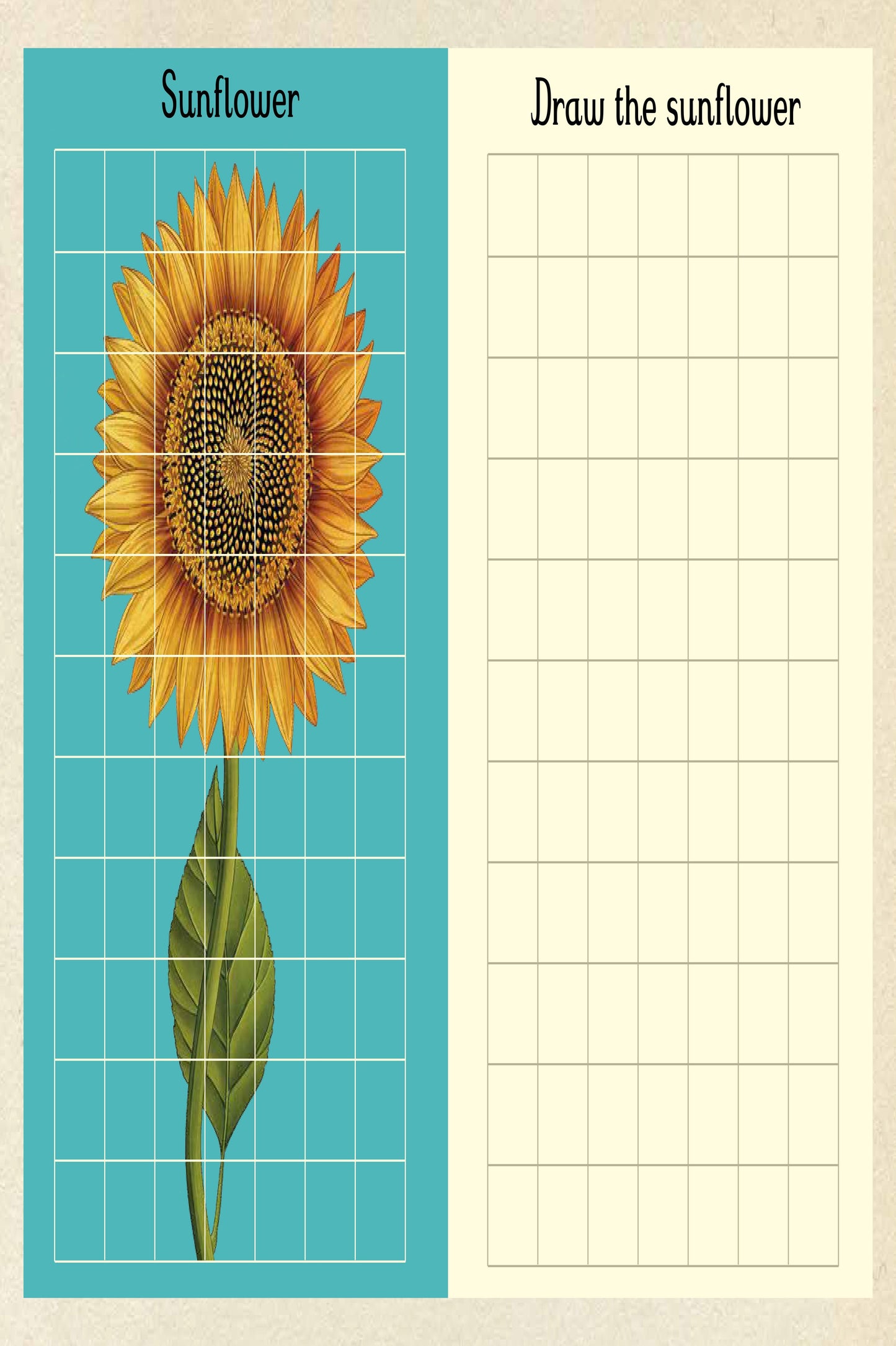 Botanicum Activity Book