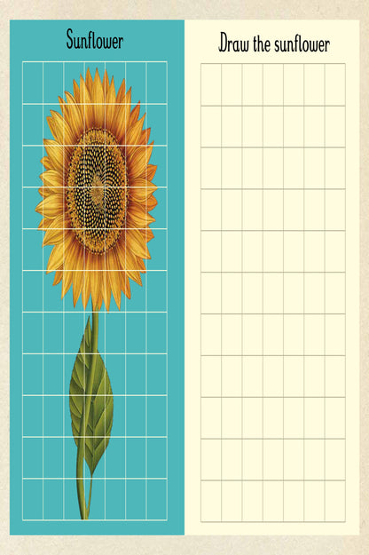 Botanicum Activity Book