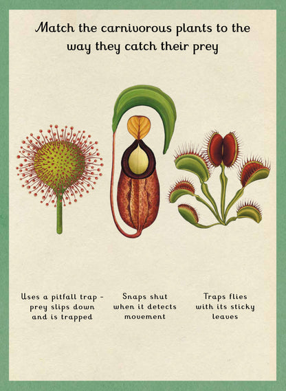 Botanicum Activity Book