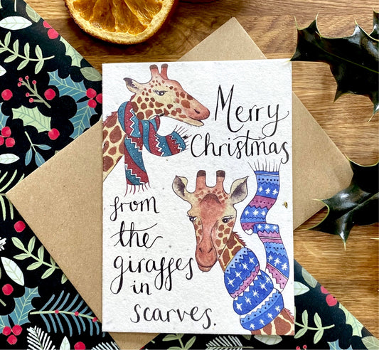 Giraffes in Scarves Plantable Christmas Card