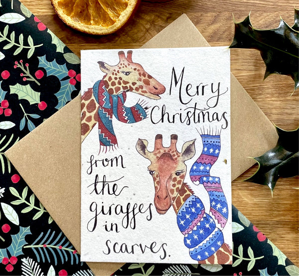 Giraffes in Scarves Plantable Christmas Card