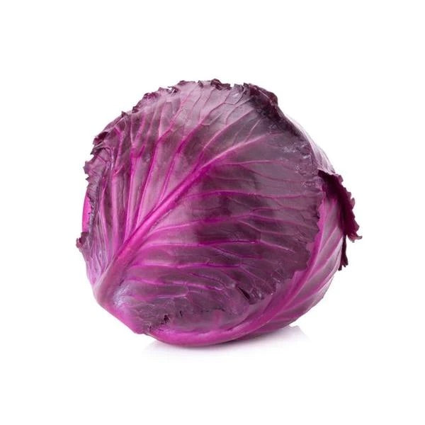 Large Red Cabbage