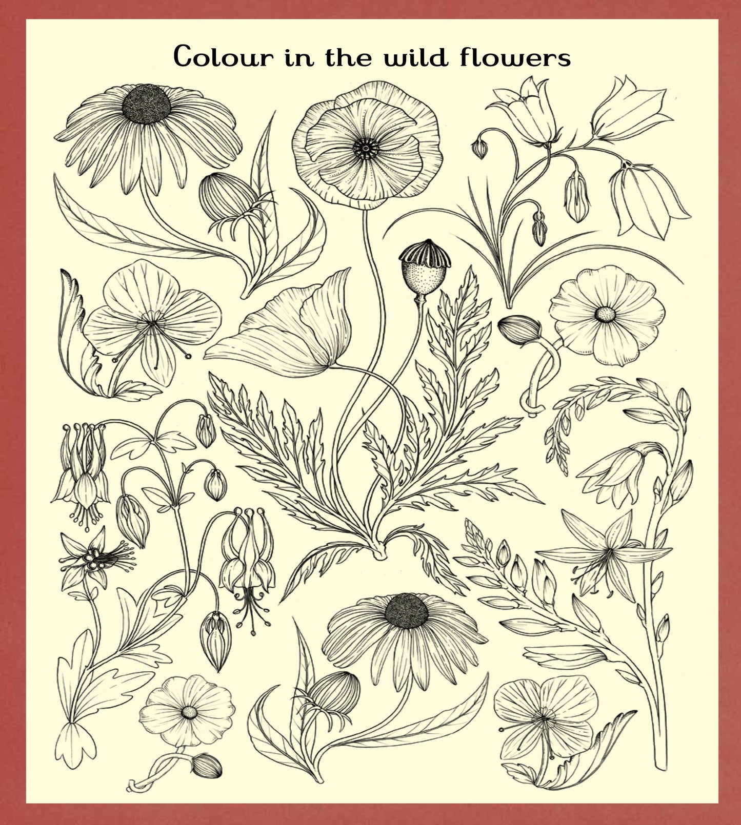 Botanicum Activity Book