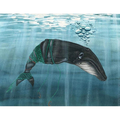 Nelson’s Dangerous Dive - Signed Copy Children’s Book