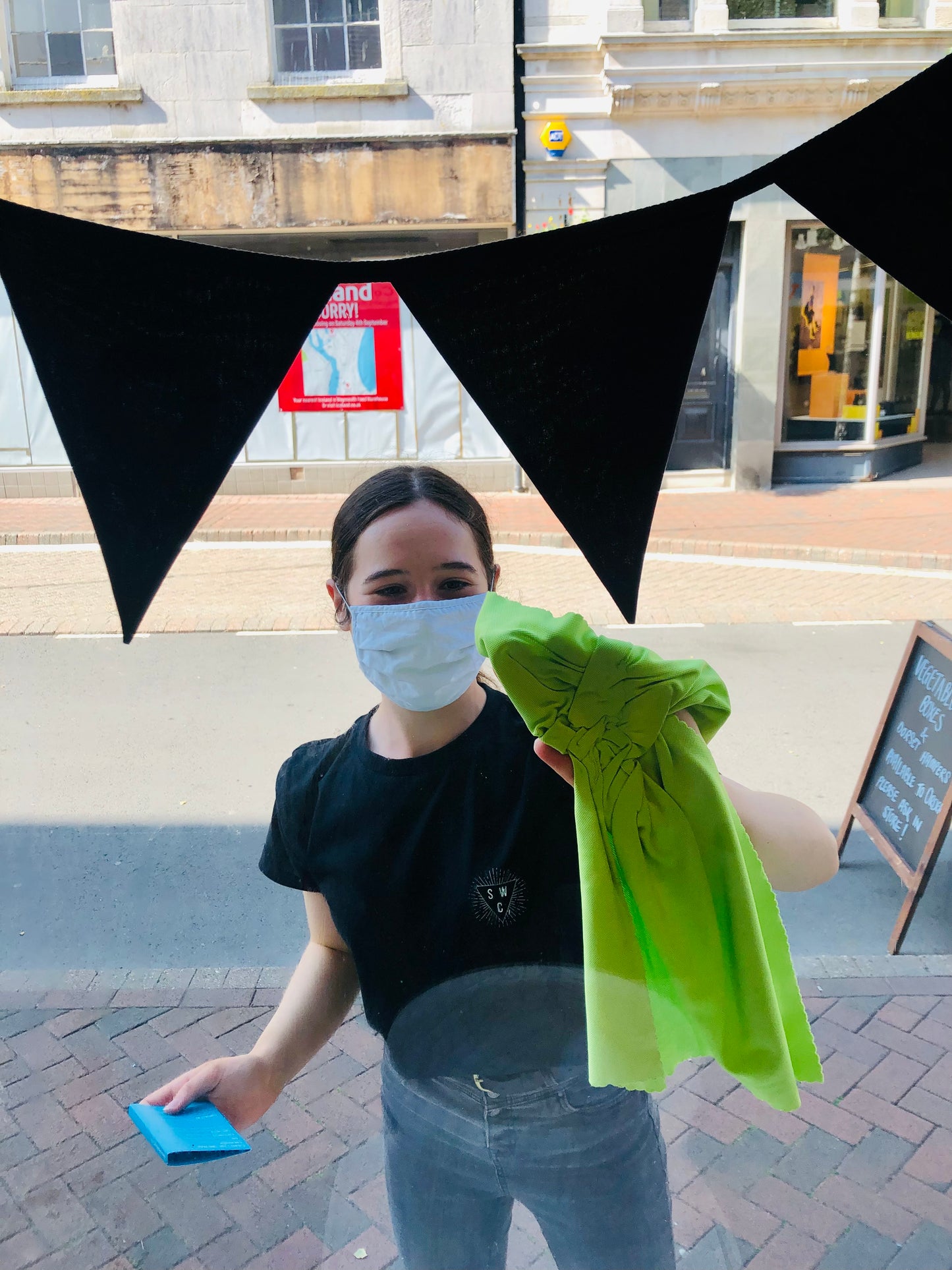 E-Cloth Glass & Polishing Cloth - Windows & Shiny Surfaces