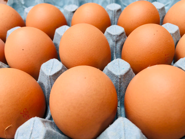 Free Range Chicken Eggs from Fluffett’s Farm x 6