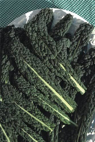 Cavolo Nero UK - 250g
