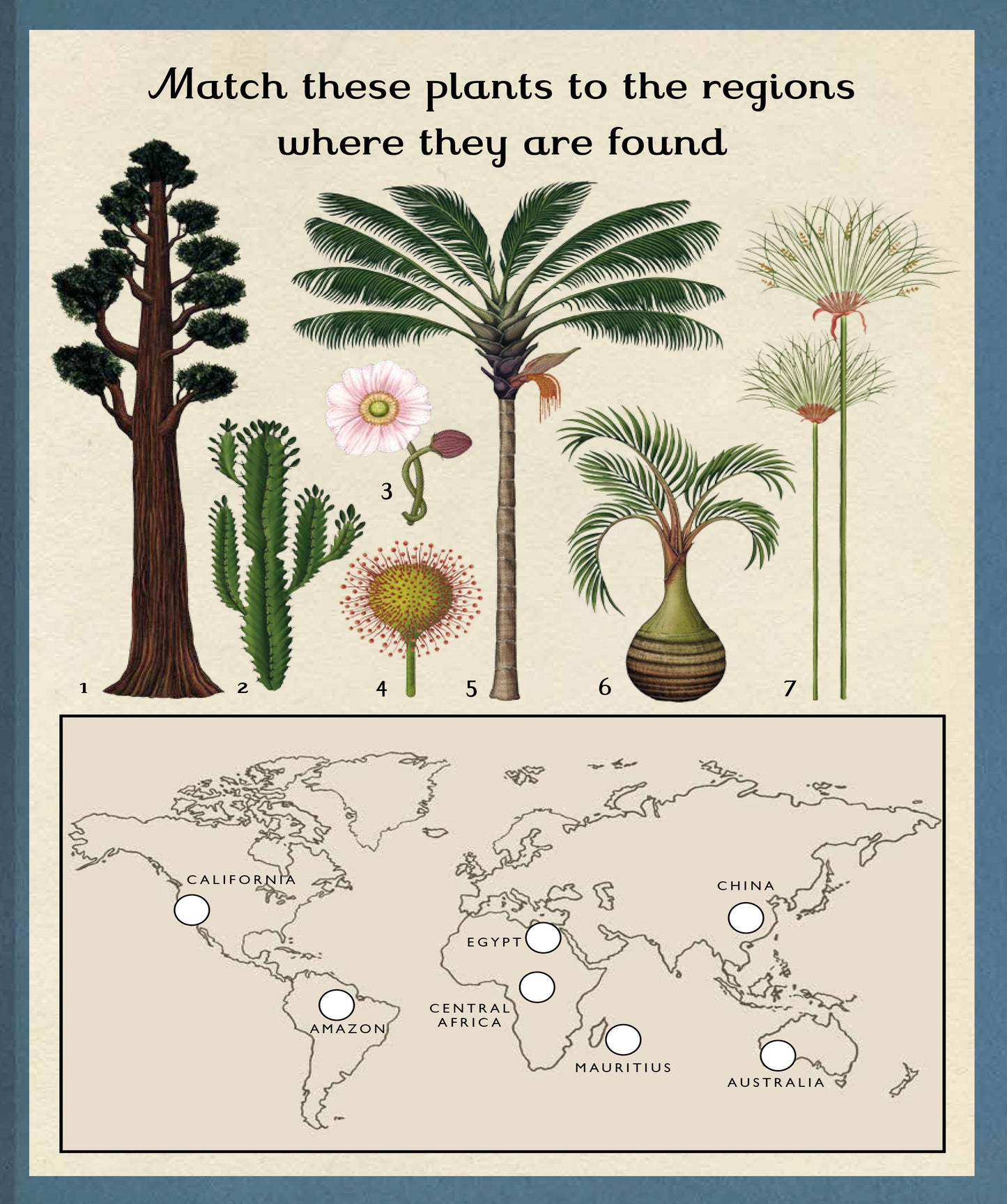 Botanicum Activity Book