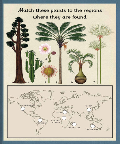 Botanicum Activity Book
