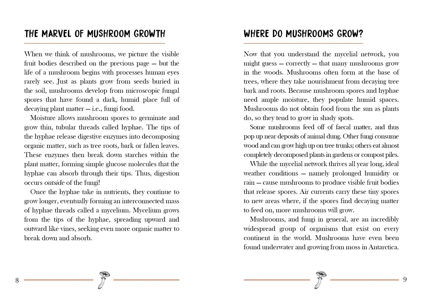 Little Book of Mushrooms