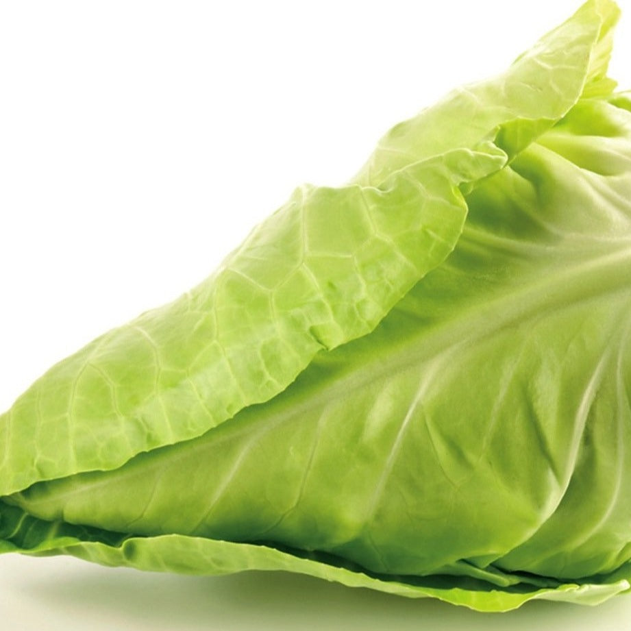 Sweetheart Cabbage - Each - SW Coast Refills 