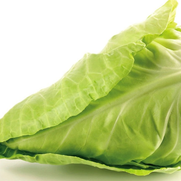 Sweetheart Cabbage - Each - SW Coast Refills 