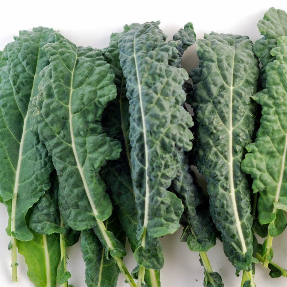Kale - 250g - SW Coast Refills 