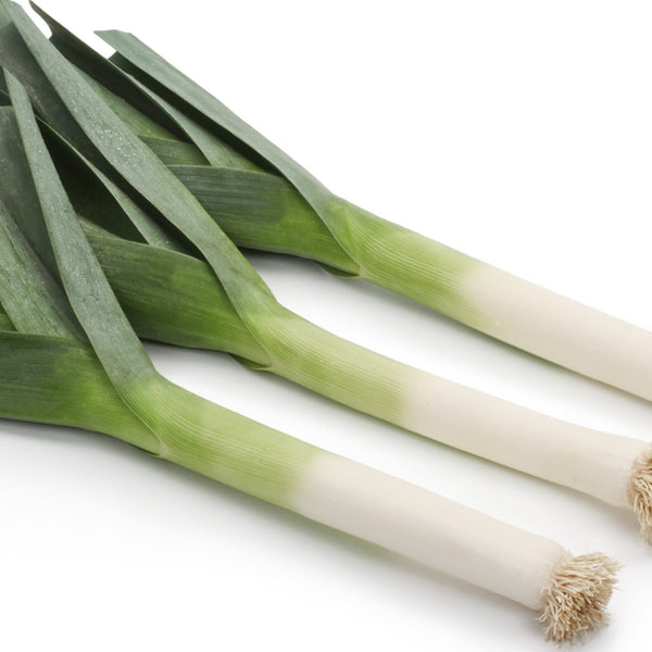 Leek - Each - SW Coast Refills 